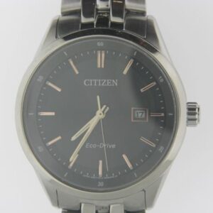 Stainless Steel Citizen Eco-Drive Men's Watch