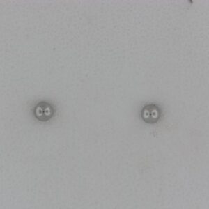 14K White Gold 3mm Ball Stud Earrings