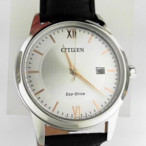 Stainless Steel Citizen Eco-Drive Watch with Leather Band