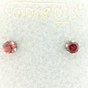 Stainless Steel Garnet Earrings