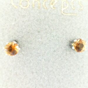 Stainless Steel Citrine Earrings