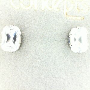 Customizable Concept Earring