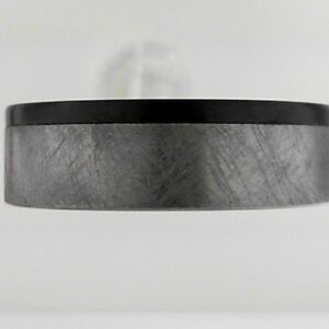 Tantalum and Stainless Steel Band, Size 10