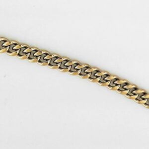 Stainless Steel and Gold Plated Curb Chain Necklace