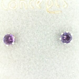Stainless Steel Amethyst Earrings