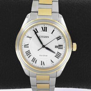 Citizen Eco-Drive Stainless Steel Men's Watch