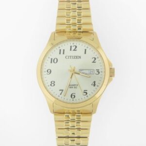 Citizen Stainless Steel Quartz Men's Watch